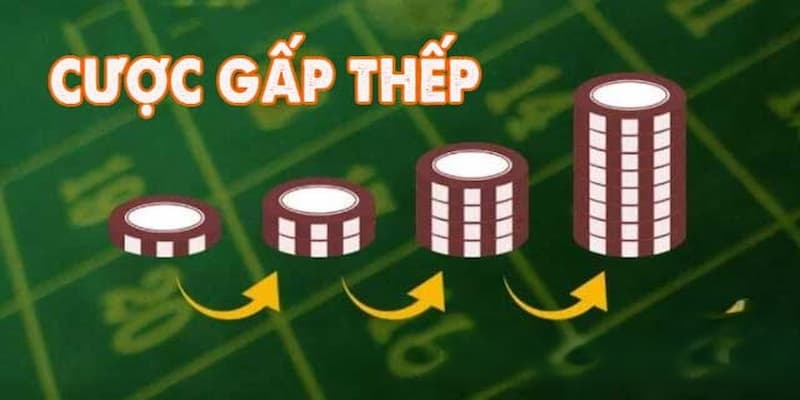Cược gấp thếp là gì và cơ chế hoạt động ra sao